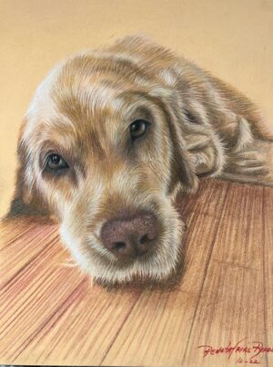 Retrato de mascota - Renata Frías Rozas - Lápiz